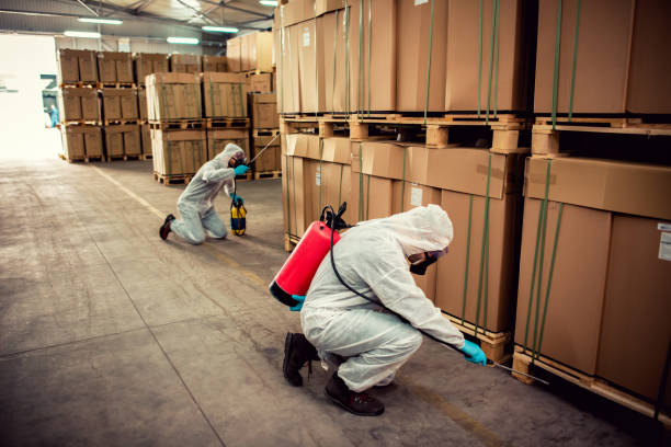 Reliable Montclair, CA Pest Control Solutions