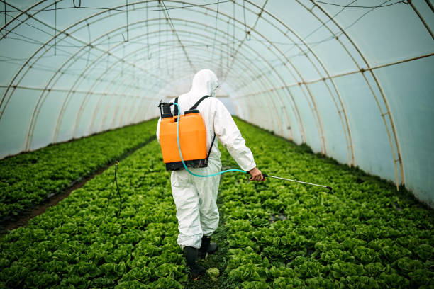 Best Residential Pest Control  in Montclair, CA