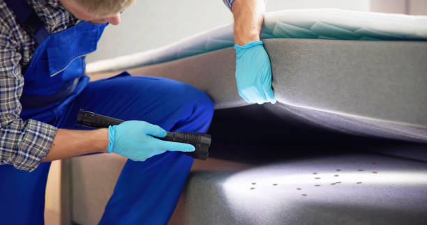 Best Pest Inspection Near Me  in Montclair, CA